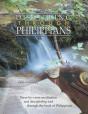 Discipling Through Philippians Study Guide - Preview