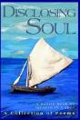 Disclosing Soul - Preview