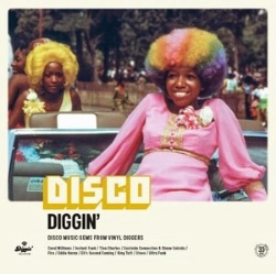 Capa do artigo Disco Diggin' - Vinil