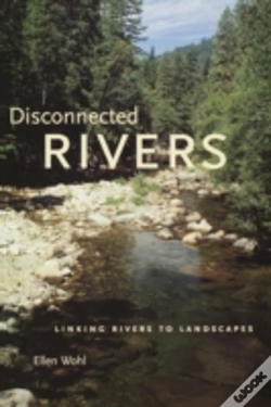Capa do artigo Disconnected Rivers
