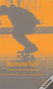 Capa do artigo Disconnected Youth?