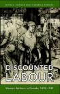 Discounted Labour - Preview