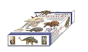 Discover Dinosaurs - Educational Box Set - Preview