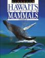 Discover Hawai'I'S Marine Mammals - Preview