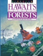 Discover Hawaii'S Natural Forests