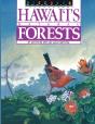 Discover Hawaii'S Natural Forests - Preview