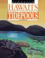 Discover Hawaii'S Sandy Beaches And Tidepools - Preview