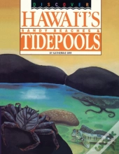 Discover Hawaii'S Sandy Beaches And Tidepools