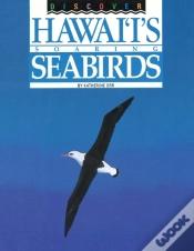 Capa do artigo Discover Hawai