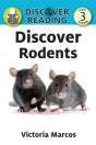 Discover Rodents - Preview