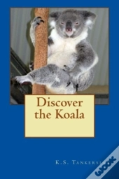 Discover The Koala