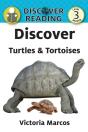 Discover Turtles & Tortoises - Preview