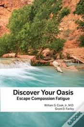 Capa do artigo Discover Your Oasis