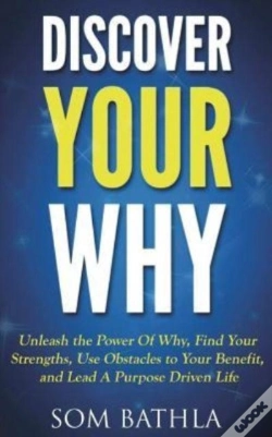 Capa do artigo Discover Your Why
