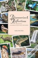 Discoveries & Reflections