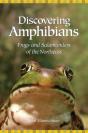 Discovering Amphibians - Preview