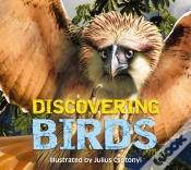 Capa do artigo Discovering Birds