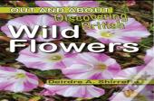 Discovering British Wild Flowers