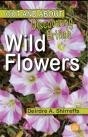 Discovering British Wild Flowers - Preview