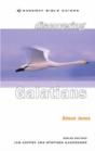 Discovering Galatians - Preview