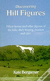 Capa do artigo Discovering Hill Figures