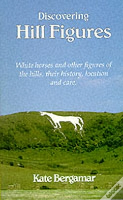 Capa do artigo Discovering Hill Figures