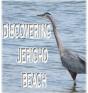 Discovering Jericho Beach - Preview