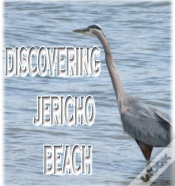 Capa do artigo Discovering Jericho Beach