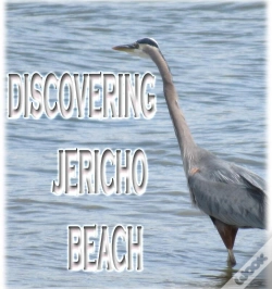 Capa do artigo Discovering Jericho Beach