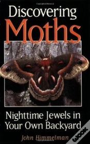 Capa do artigo Discovering Moths