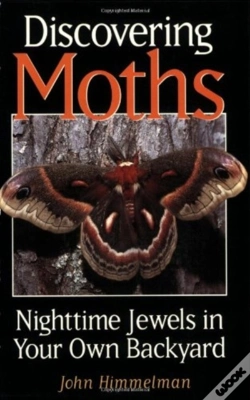Capa do artigo Discovering Moths