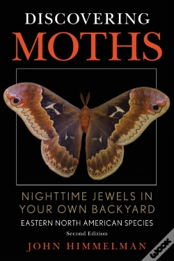 Capa do artigo Discovering Moths