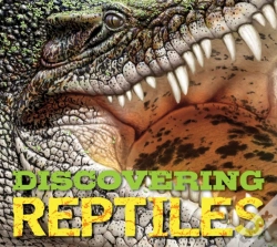 Capa do artigo Discovering Reptiles