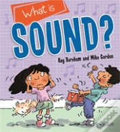 Capa do artigo Discovering Science: What Is Sound?