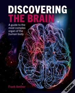 Capa do artigo Discovering The Brain
