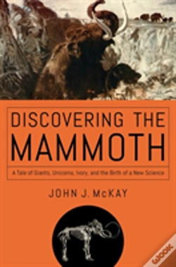 Capa do artigo Discovering The Mammoth