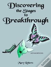 Capa do artigo Discovering The Stages To Breakthrough