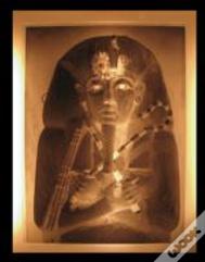 Discovering Tutankhamun