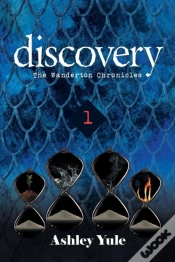 Capa do artigo Discovery