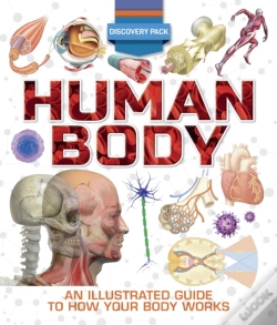 Capa do artigo Discovery Pack: Human Body