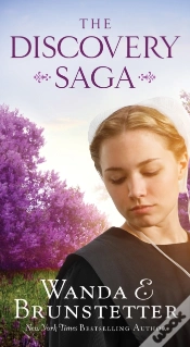 Capa do artigo Discovery Saga
