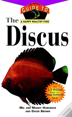 Capa do artigo Discus