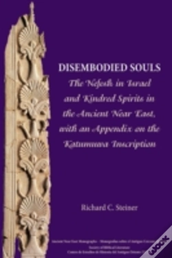 Capa do artigo Disembodied Souls