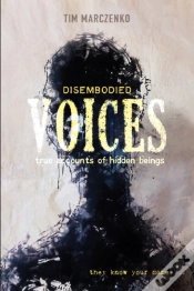 Capa do artigo Disembodied Voices