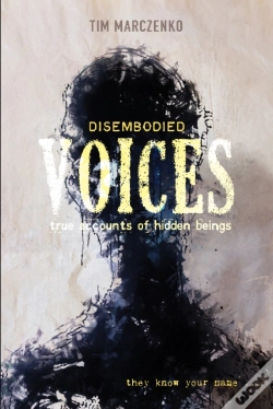 Capa do artigo Disembodied Voices