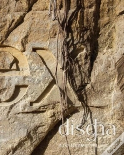 Capa do artigo Disgha