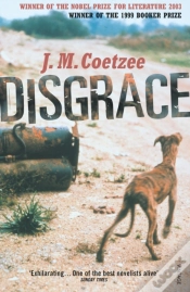 Capa do artigo Disgrace