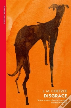Capa do artigo Disgrace