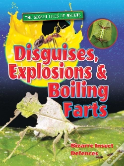 Capa do artigo Disguises, Explosions And Boiling Farts