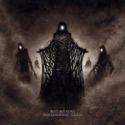 Capa do artigo Disharmonium - Vinil
